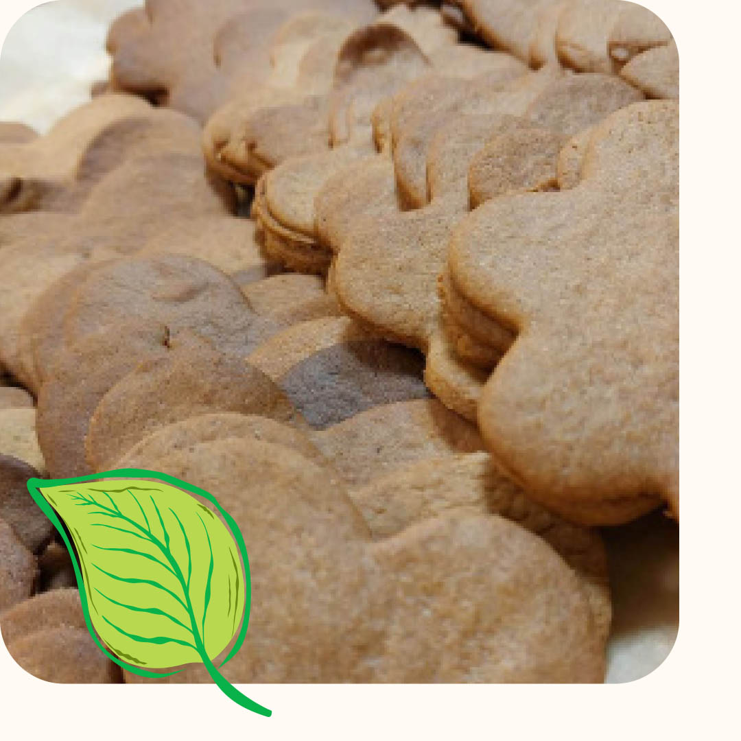 Kehitysvammaisen työtoiminta VIherlaaksossa